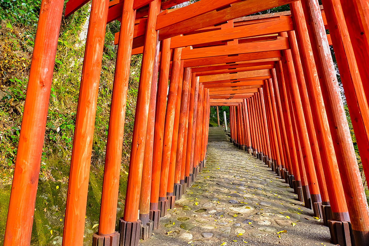 큐슈에서 해야 할 것들-일본-붉은 도리 길(Red Torii)