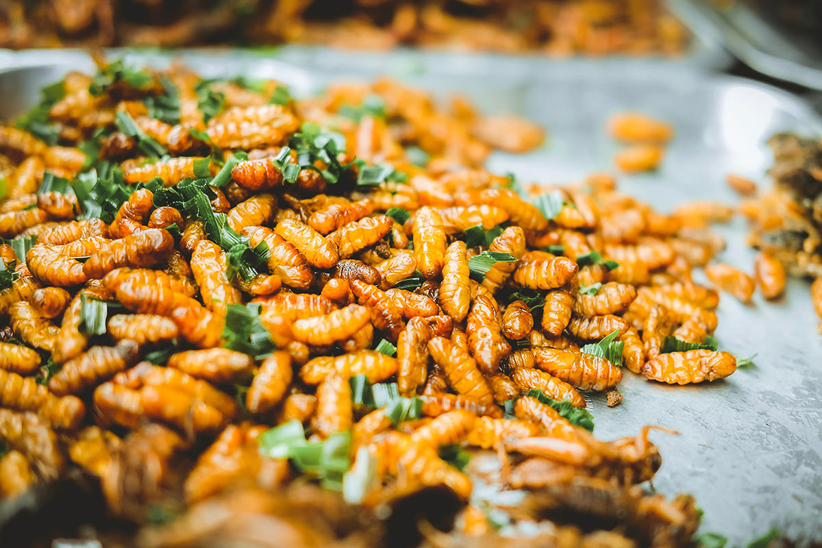 Bangkok food-Fried insects