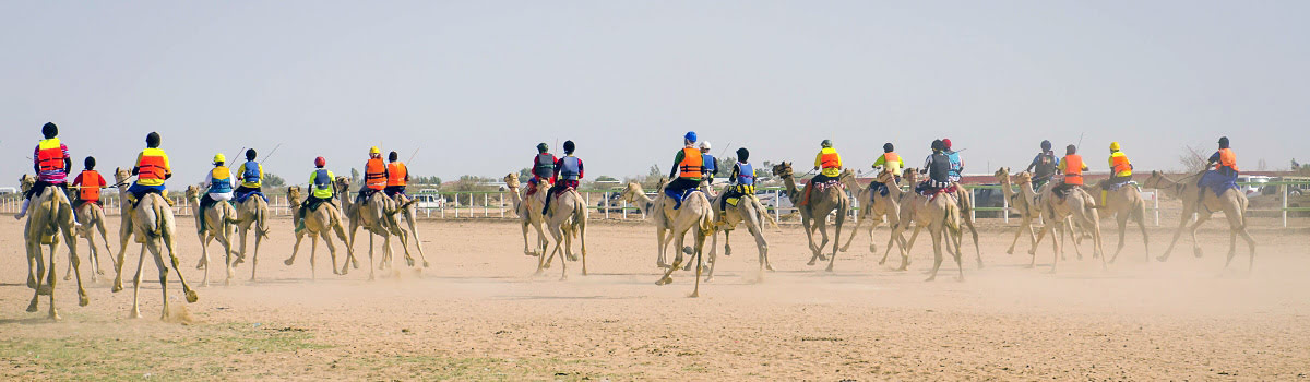 Horse &#038; Camel Racing in Saudi Arabia | Richest Races &#038; Beauty Pageants