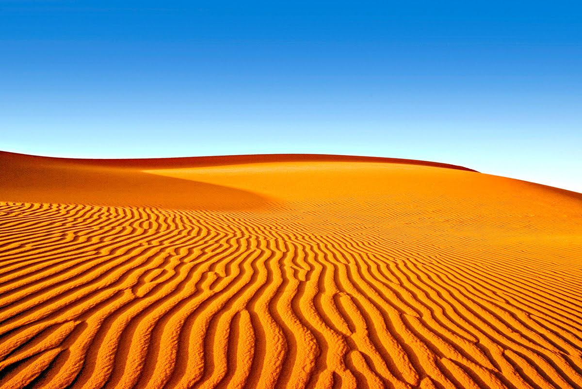 Things to do in Saudi Arabia-red sand dunes-Khararah National Park-Red Sand Dunes