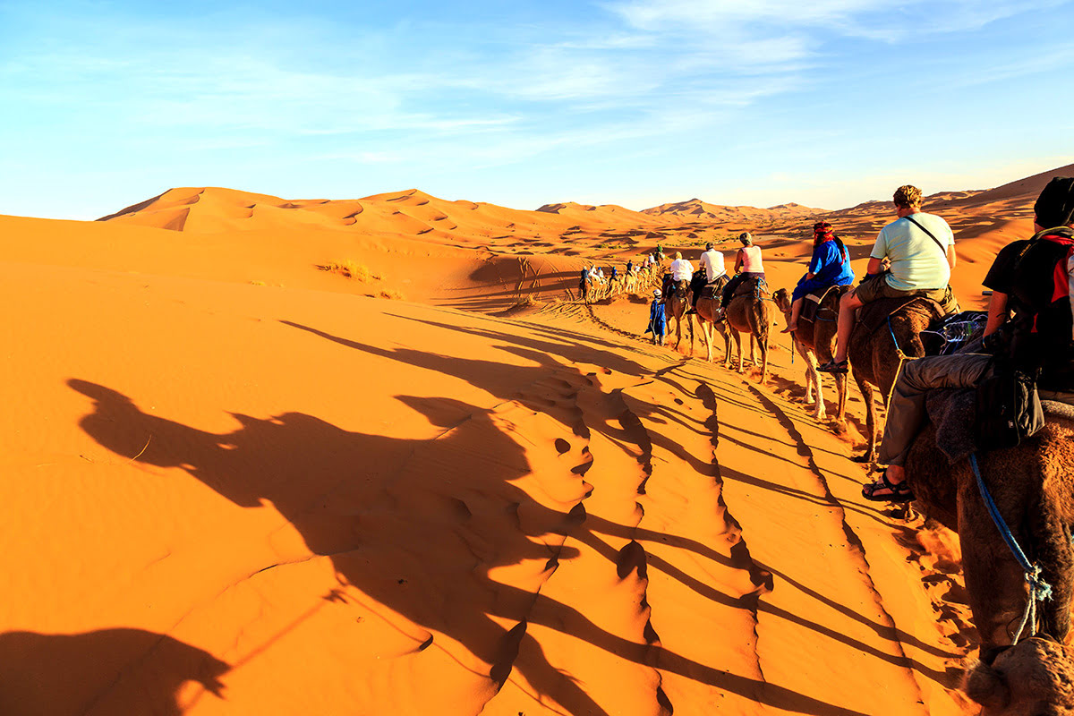 Things to do in Saudi Arabia-camel rides-Thumamah National Park