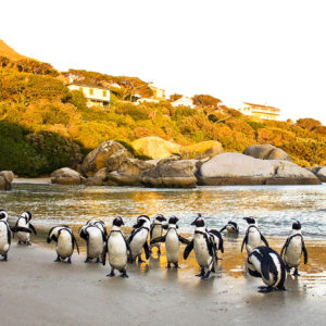 Cape Town, South Africa