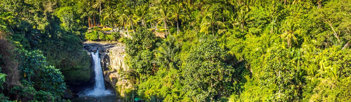 Rental Homes in Bali | Must Stay Villas in Ubud & Top Attractions to Visit
