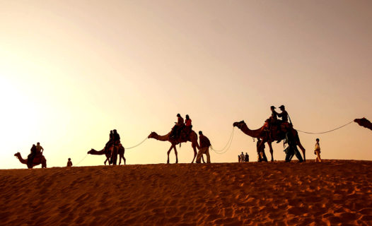 أهم ما يمكن القيام به في السعودية | أفضل أماكن للتخييم في الصحراء وركوب الجمال