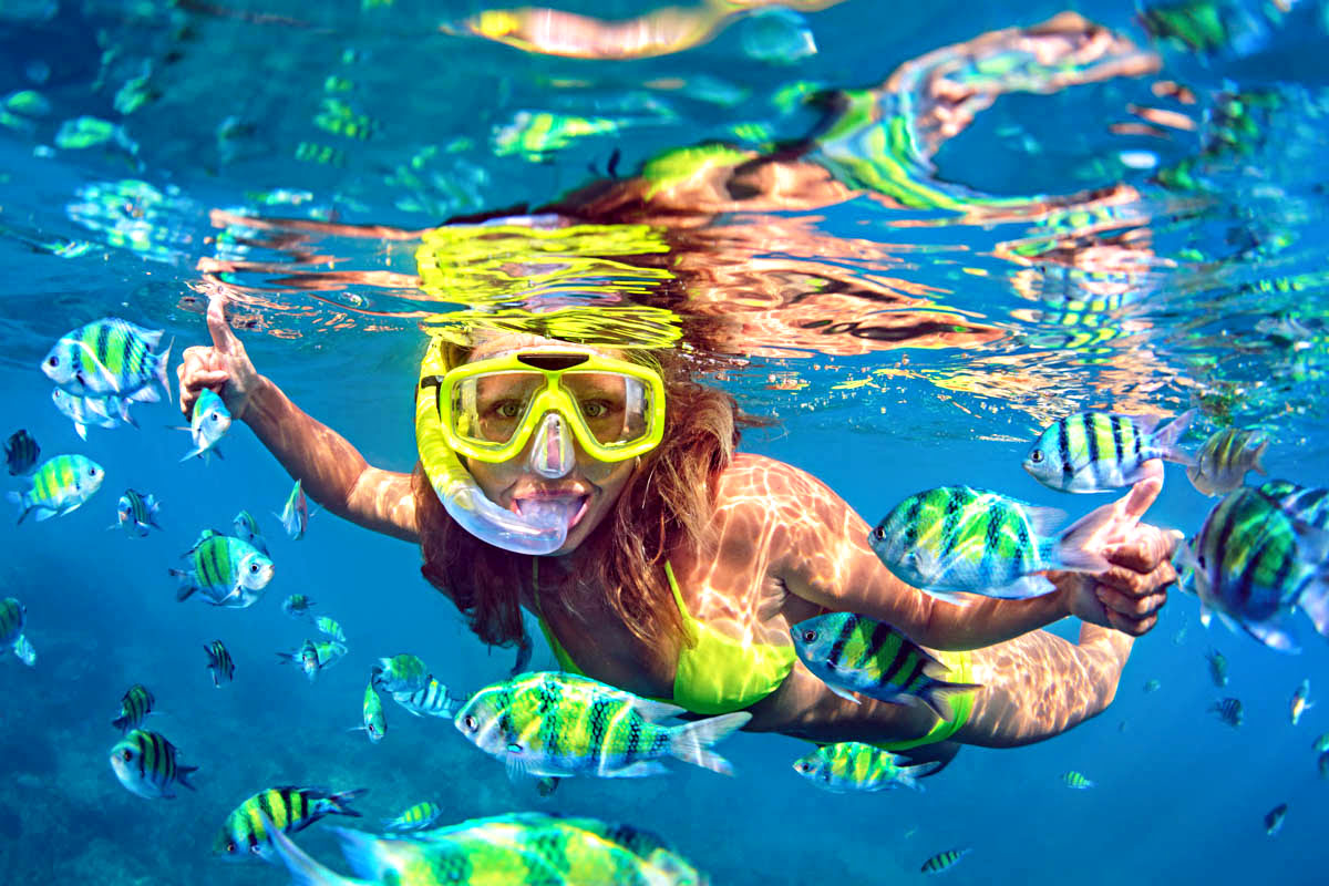 snorkeling in Phi Phi Island