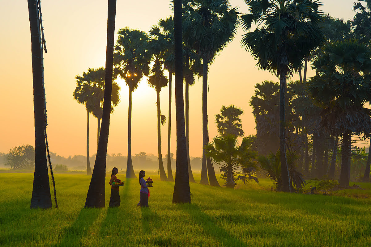 Bali itinerary-Ubud rice field