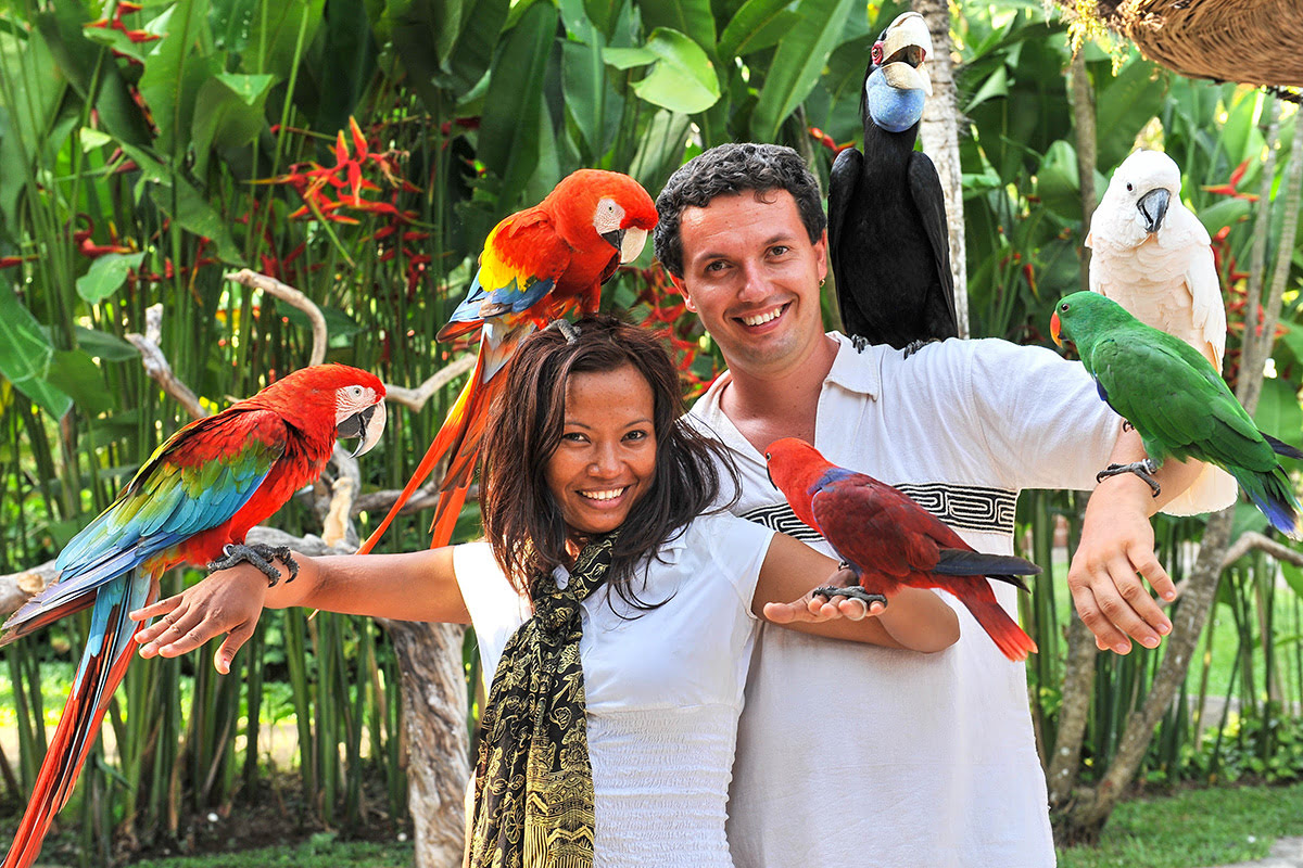 Bali zoo-Bali bird park