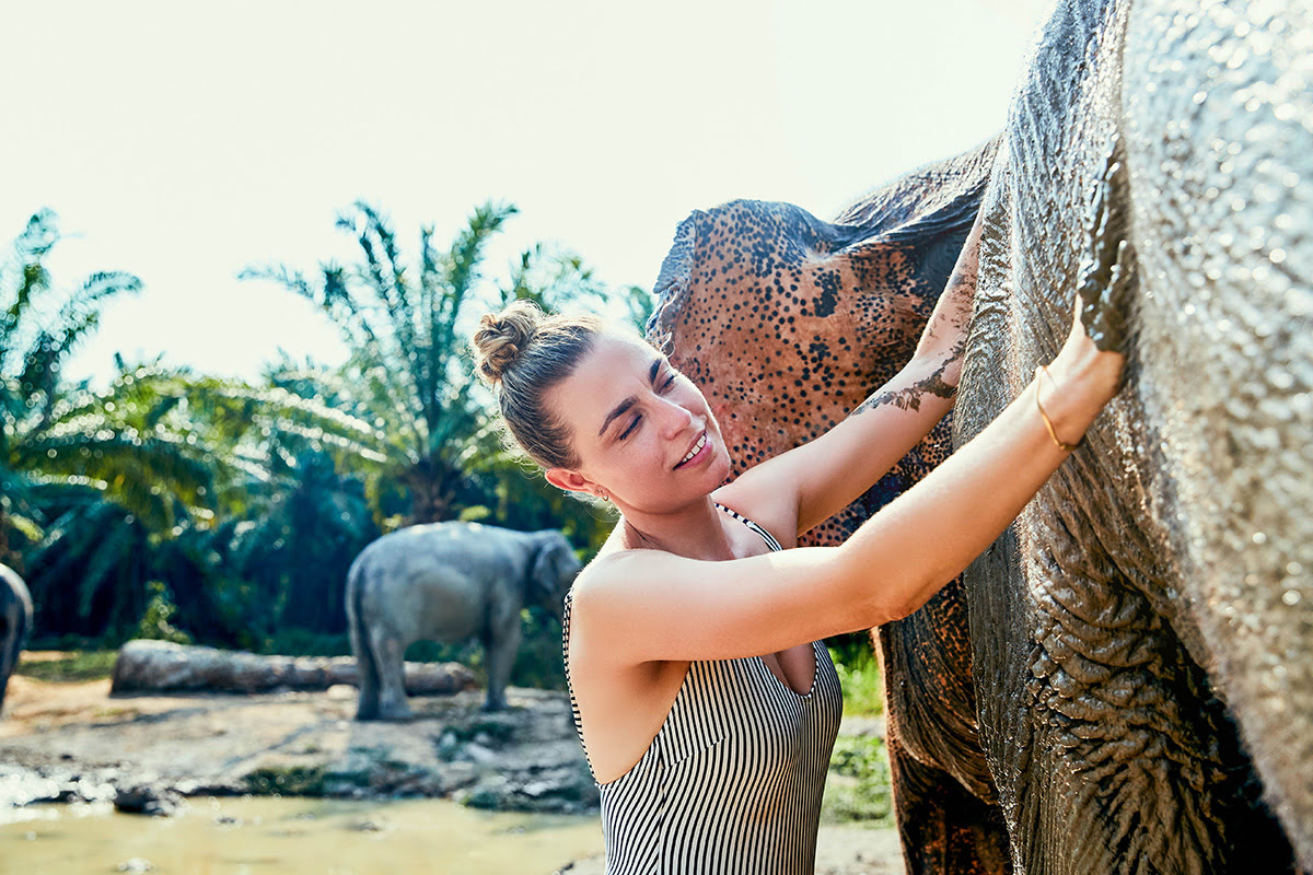 Bali zoo-Elephant mud experience