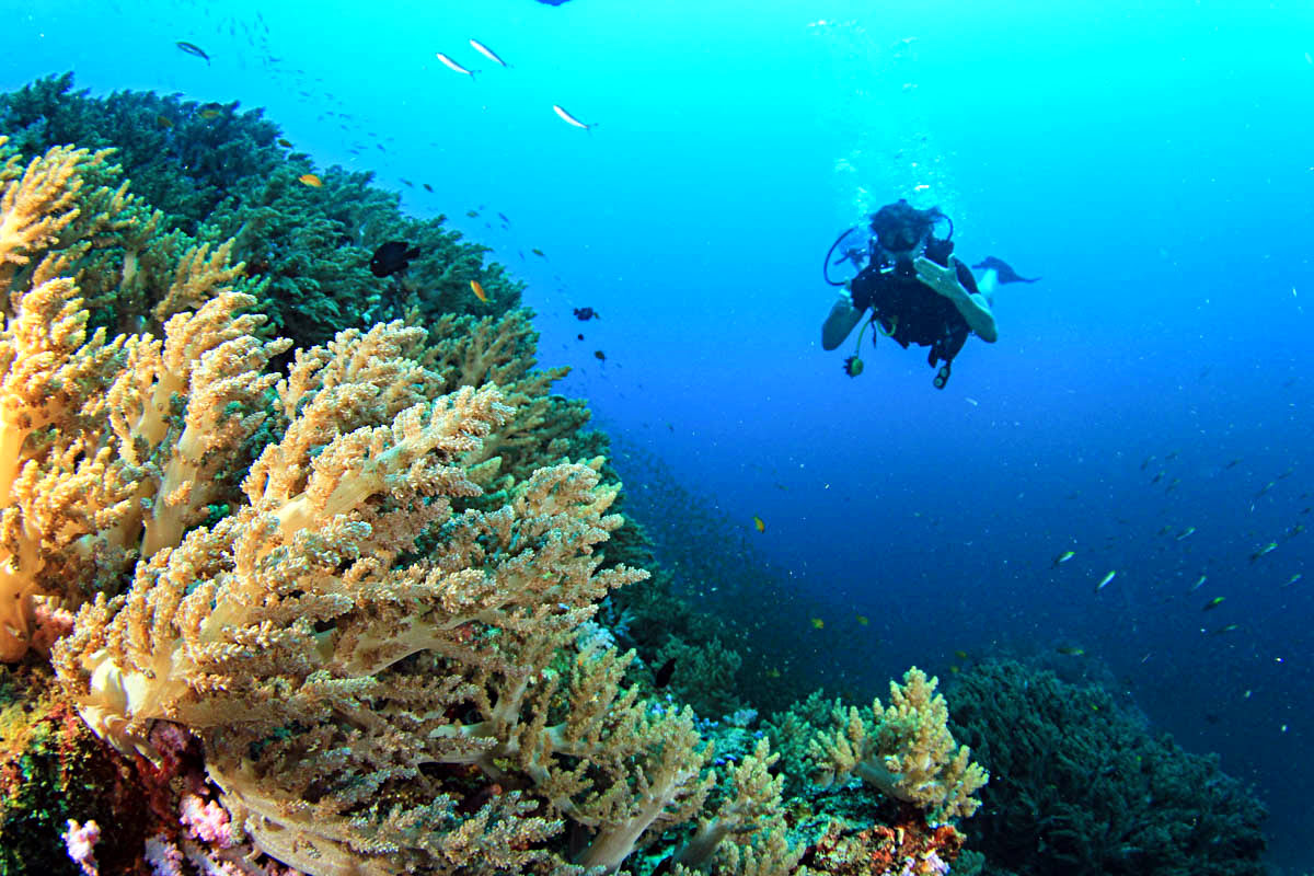 What to do in Bali-diving-snorkeling