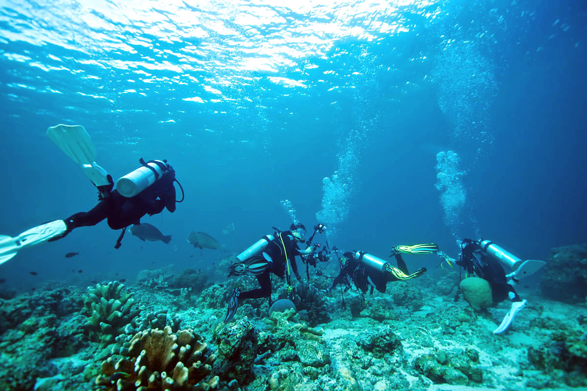 Bali diving-guided dives