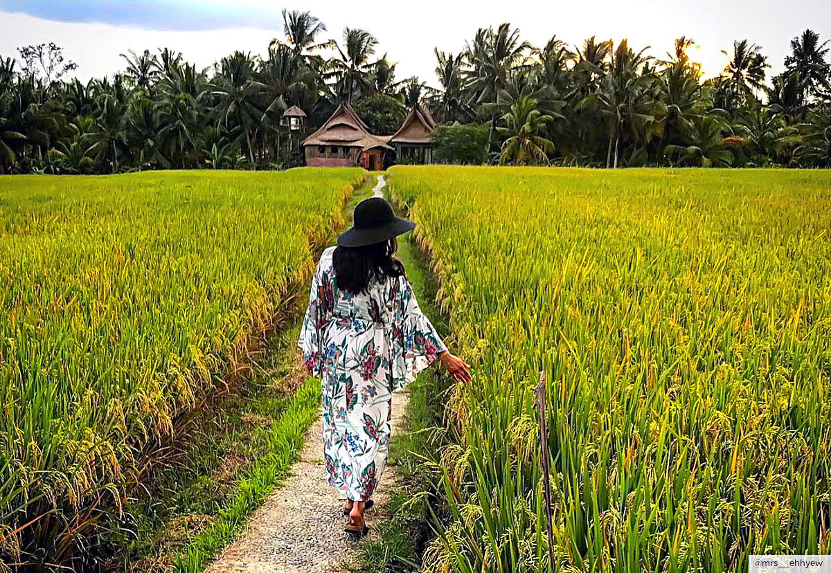 Things to do in Ubud-Kajeng Rice Field Walk