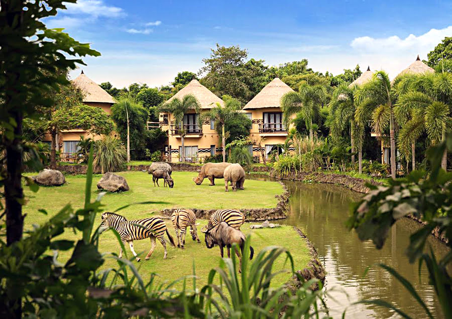 Hotels in Bali-places to visit-Mara River Safari Lodge Hotel