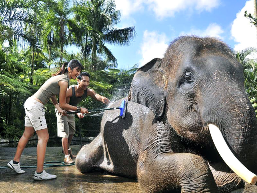 กิจกรรม-โรงแรมในบาหลี-Mason Elephant Lodge