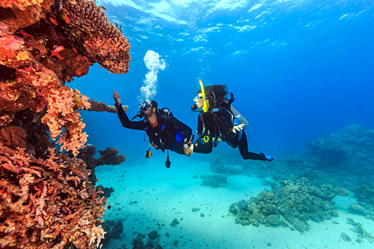 What to do in Bali-Padang Bai-muck diving