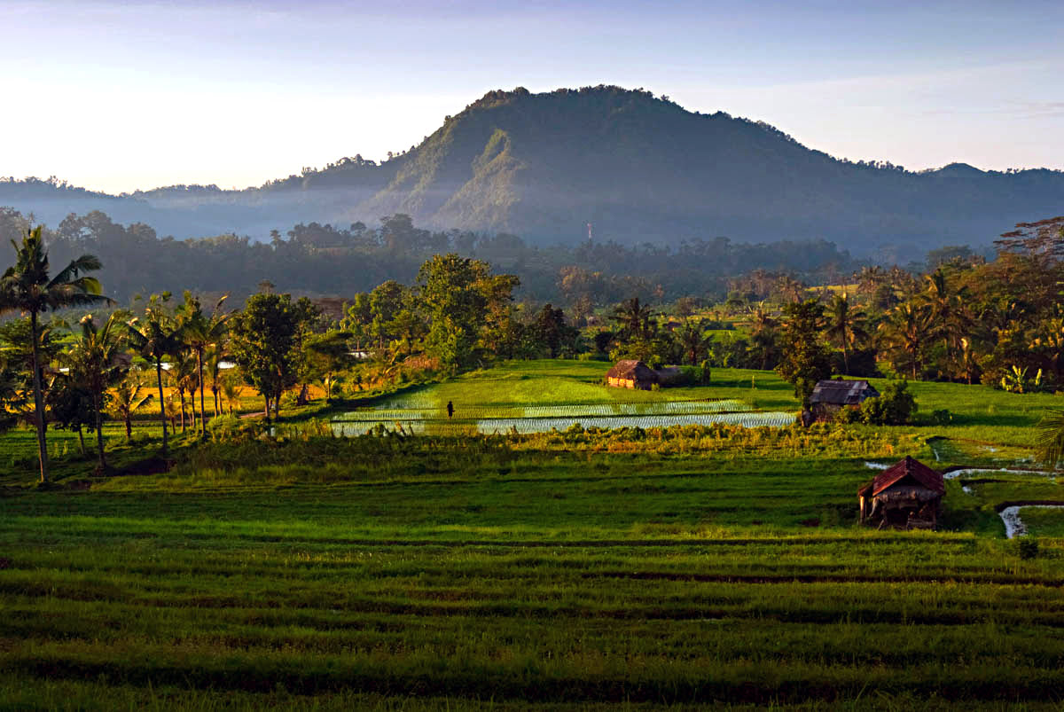What to do in Bali-Sidemen Valley