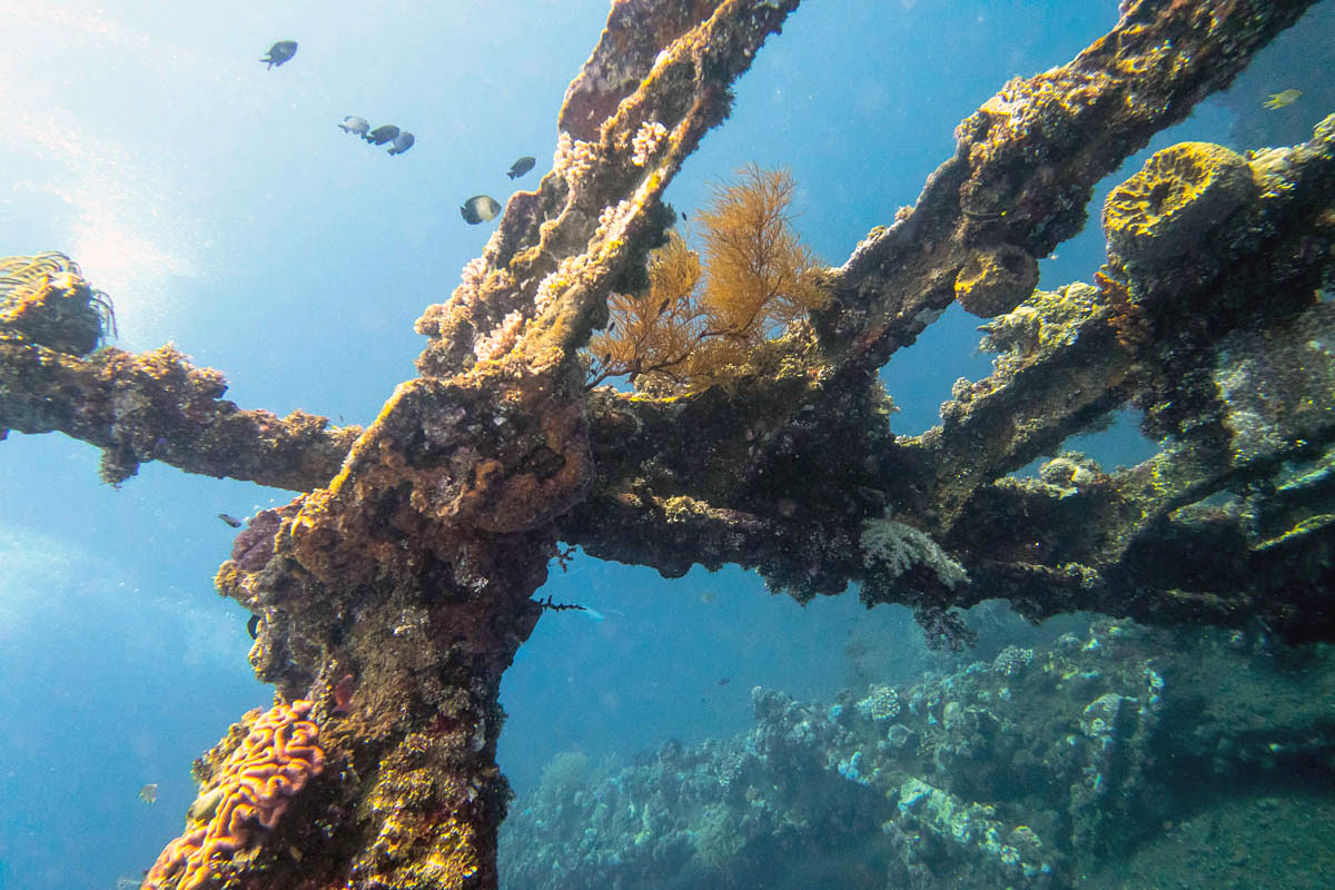 Bali diving-USS Liberty Ship Wreck-Tulamben