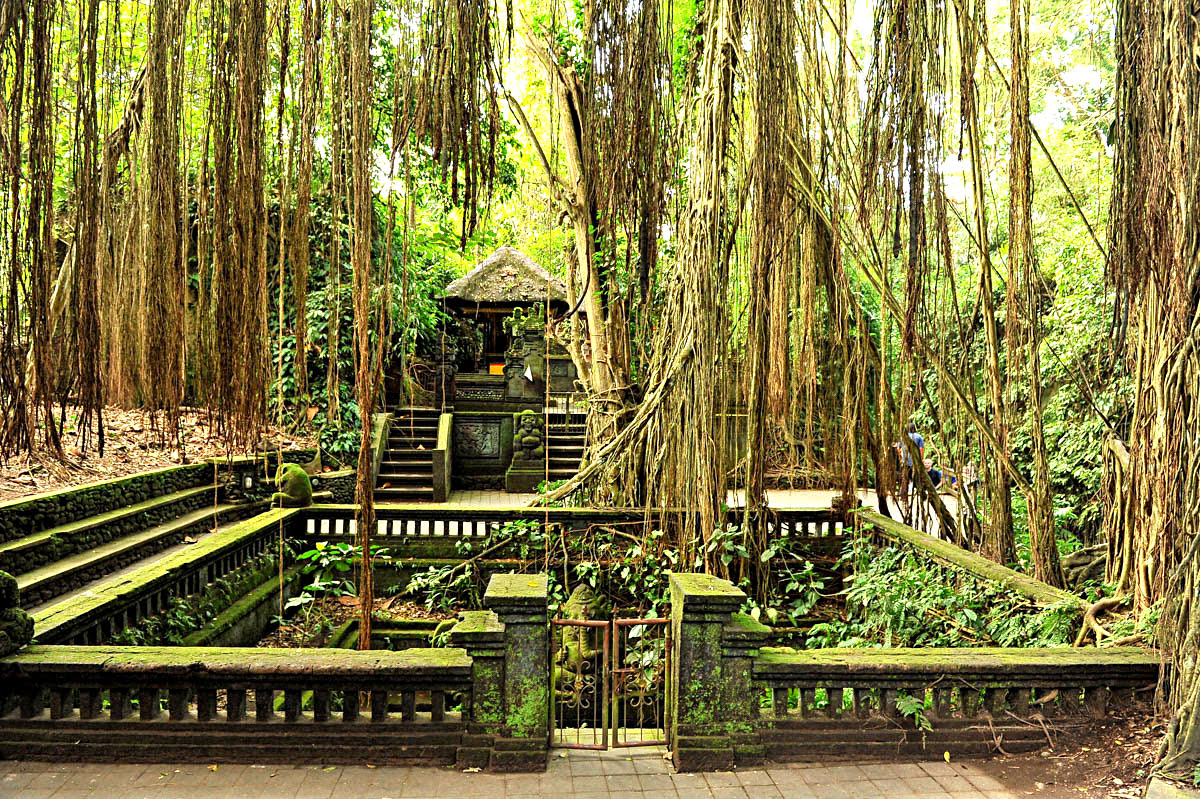 Places to visit in Bali-Ubud Monkey Forest Sanctuary