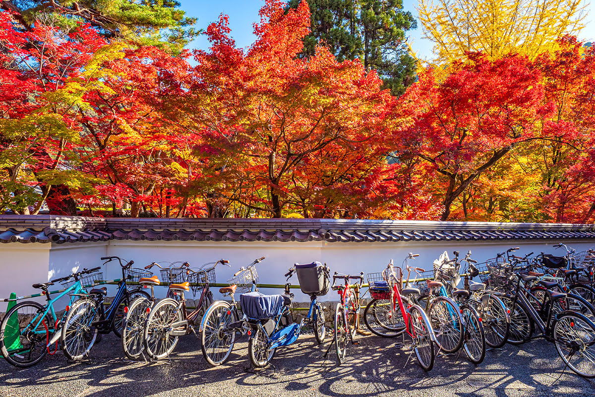 Kyoto Tower-Japan-Kansai Tourist Information Center Kyoto-bicycle tourists