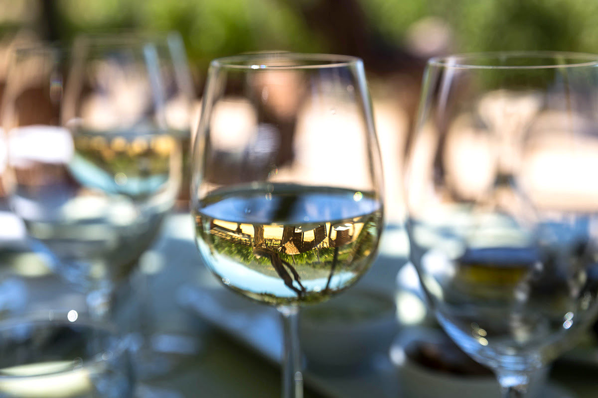 Things to do in Mendoza-Argentina-Bodega Bressia