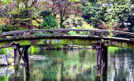 What to Do in Kyoto, Japan | 8 Can't-Miss Attractions for a DIY Itinerary!