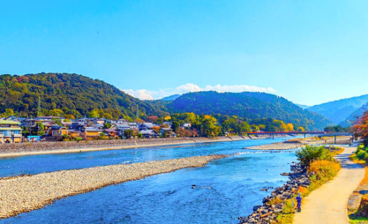 Uji, Japan | Tour Matcha Tea Fields, UNESCO Sites - Daytrips from Kyoto