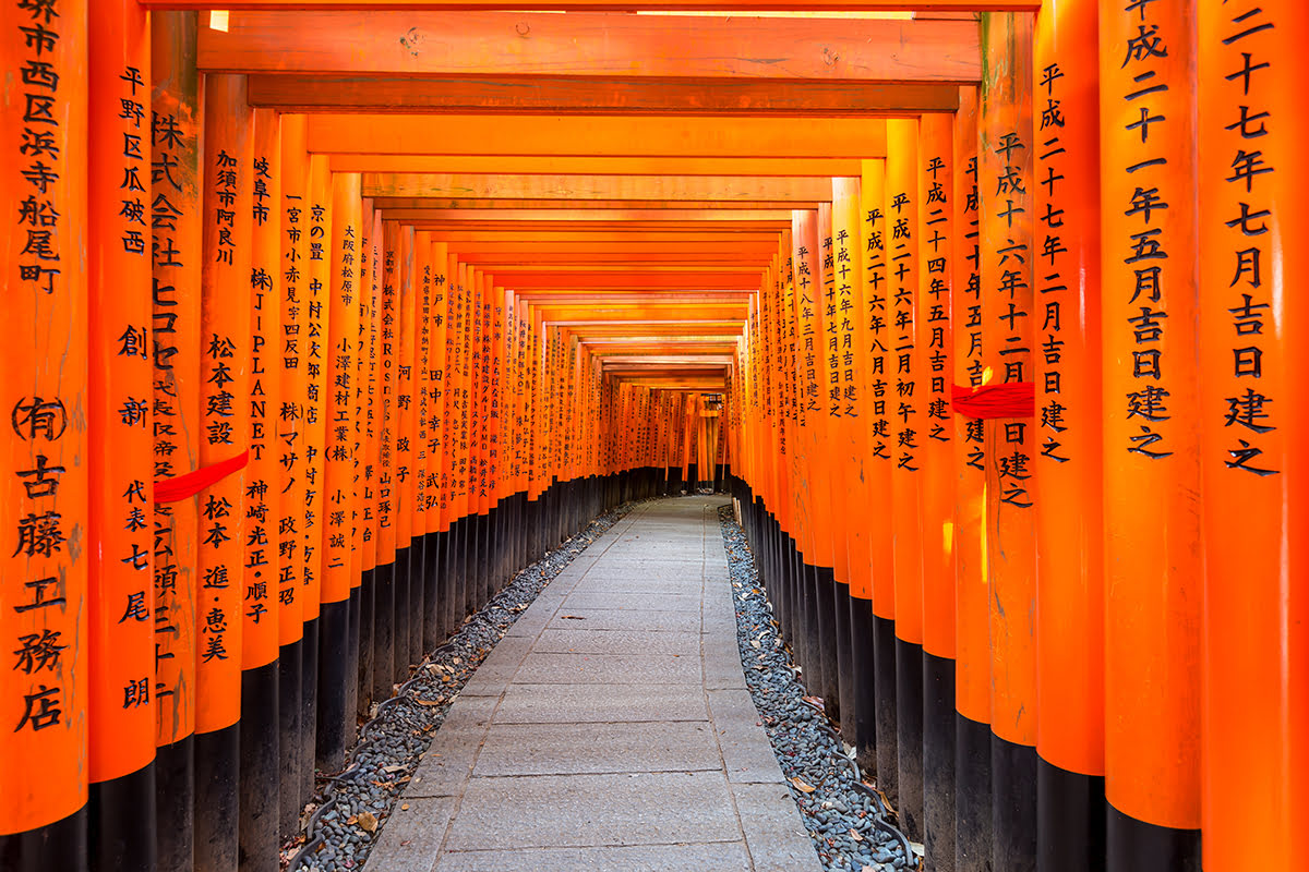 tori gates at Fushimi Inari Shrine tori gates at Fushimi Inari Shrine