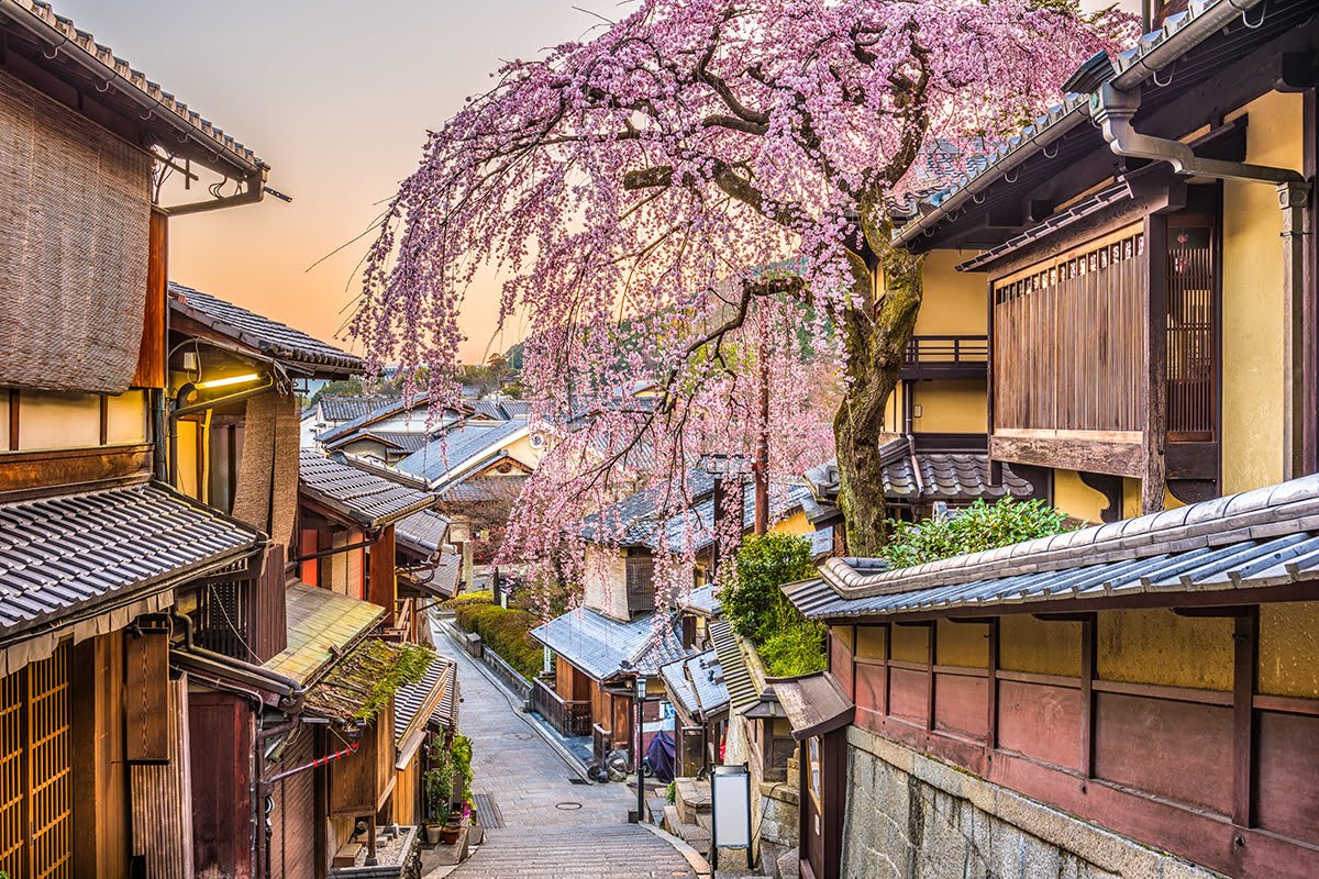 Higashiyama-Sakura