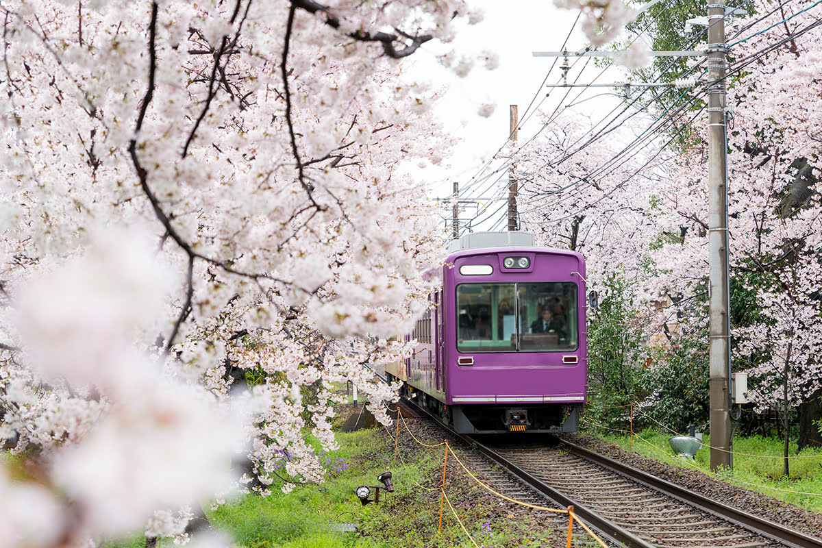 ฮิกาชิยาม่า-รถไฟในเกียวโต