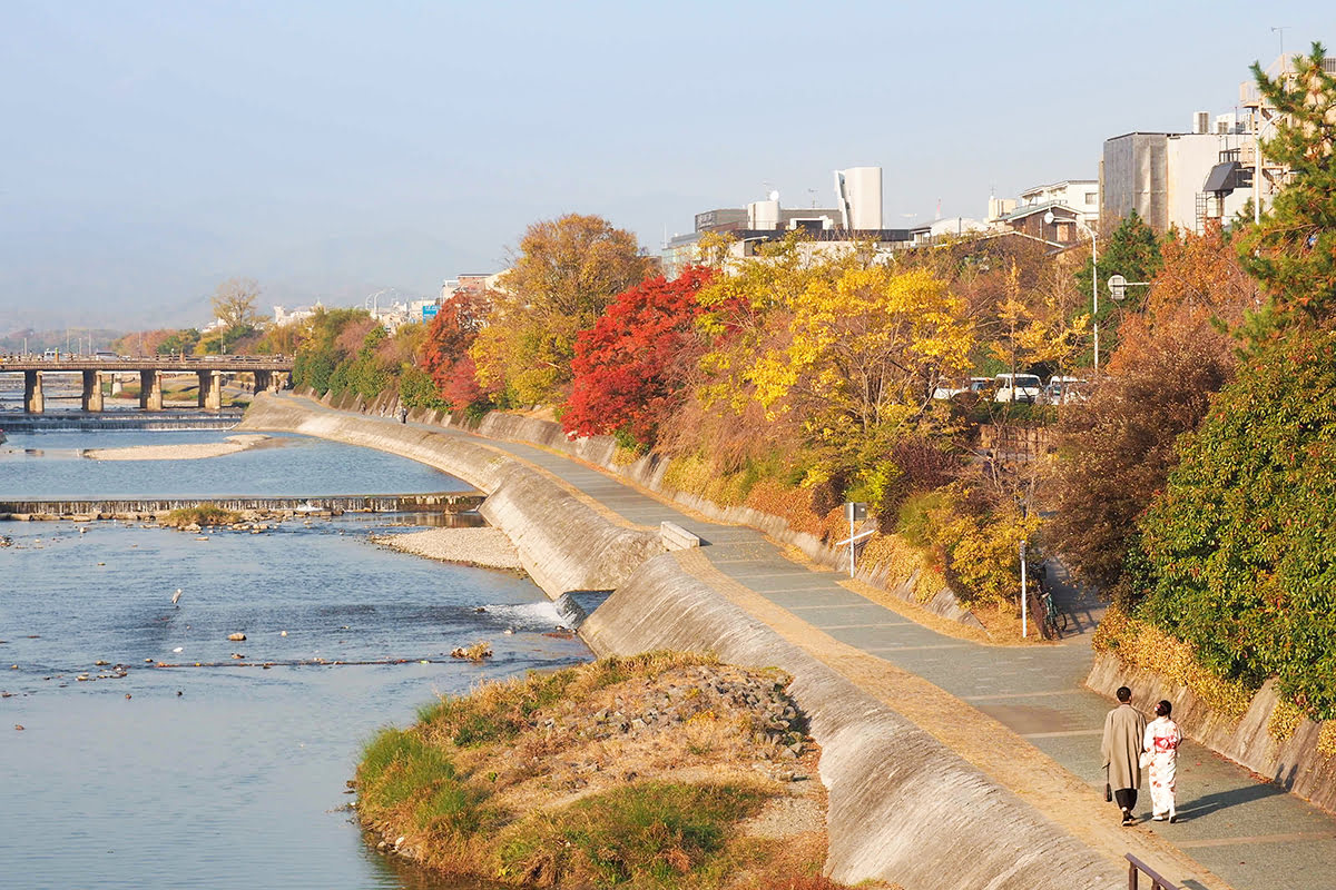 Kamo river-Kamo river in autumn