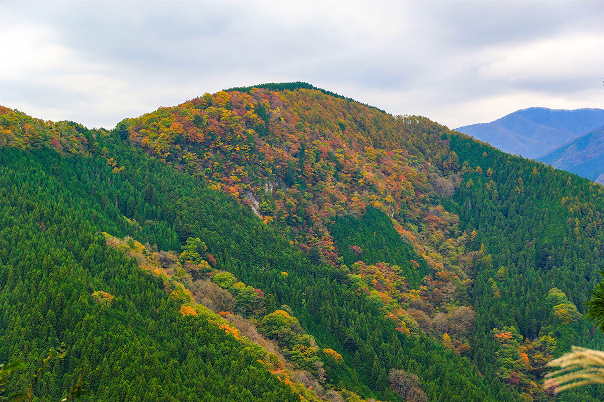 Kyoto attractions-Mount Atago