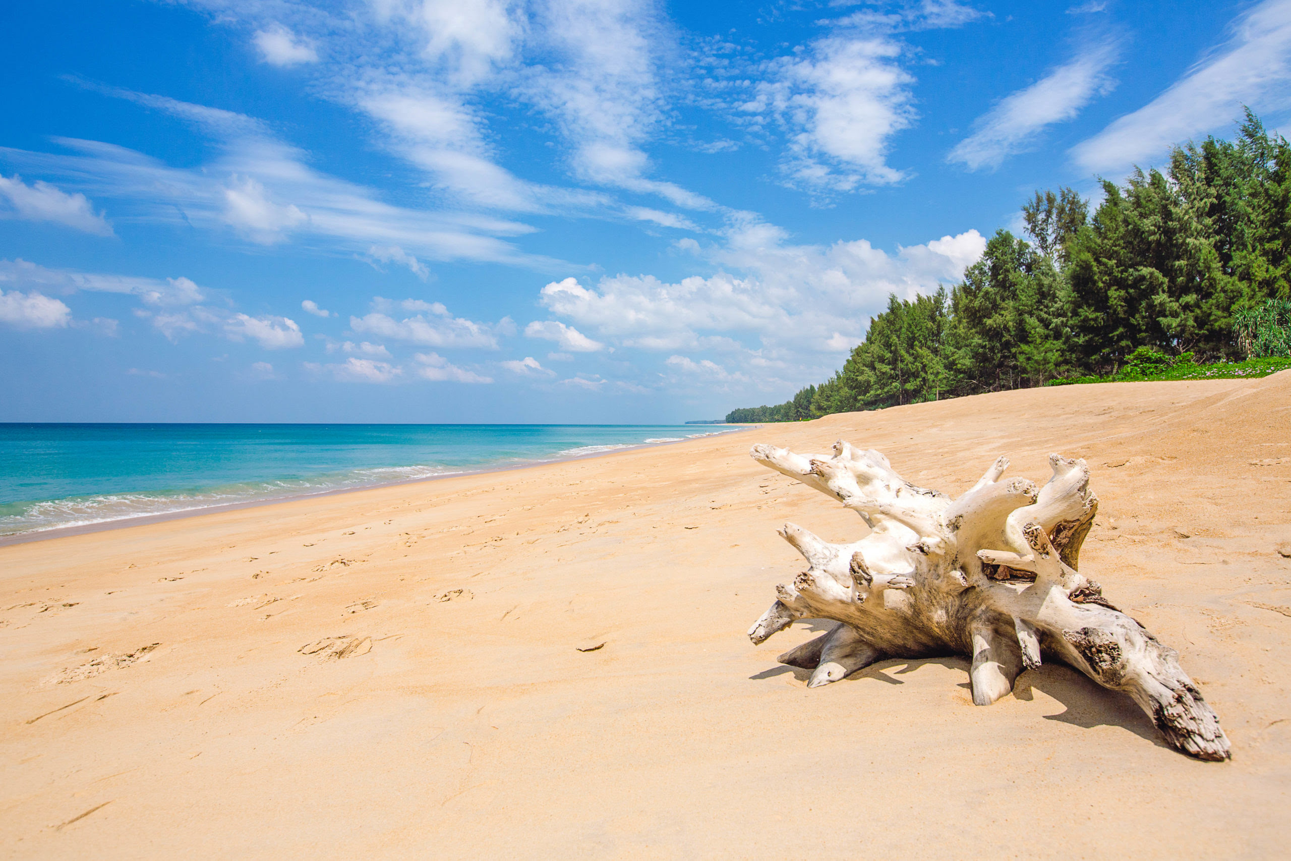 Mai Khao Beach in Phuket