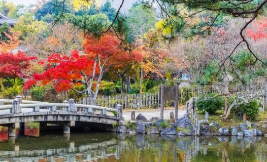 คู่มือเที่ยวสวนสาธารณะมารุยามะ (Maruyama Park) | ชมดอกซากุระและเที่ยวย่านกิออนในเกียวโต