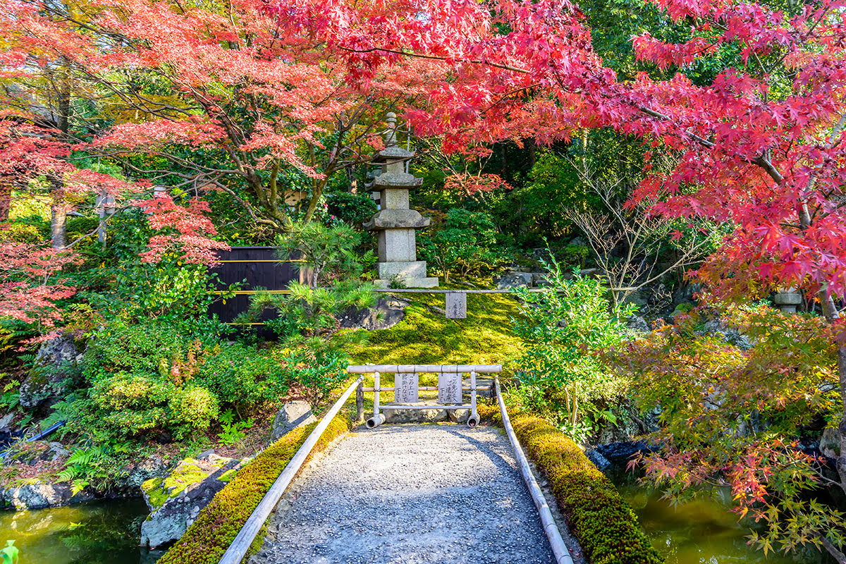 สวนมารุยามะ Maruyama- สวนมารุยามะในฤดูใบไม้ร่วง
