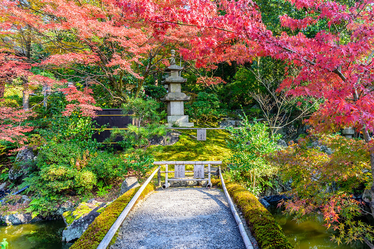 円山公園-秋-円山公園