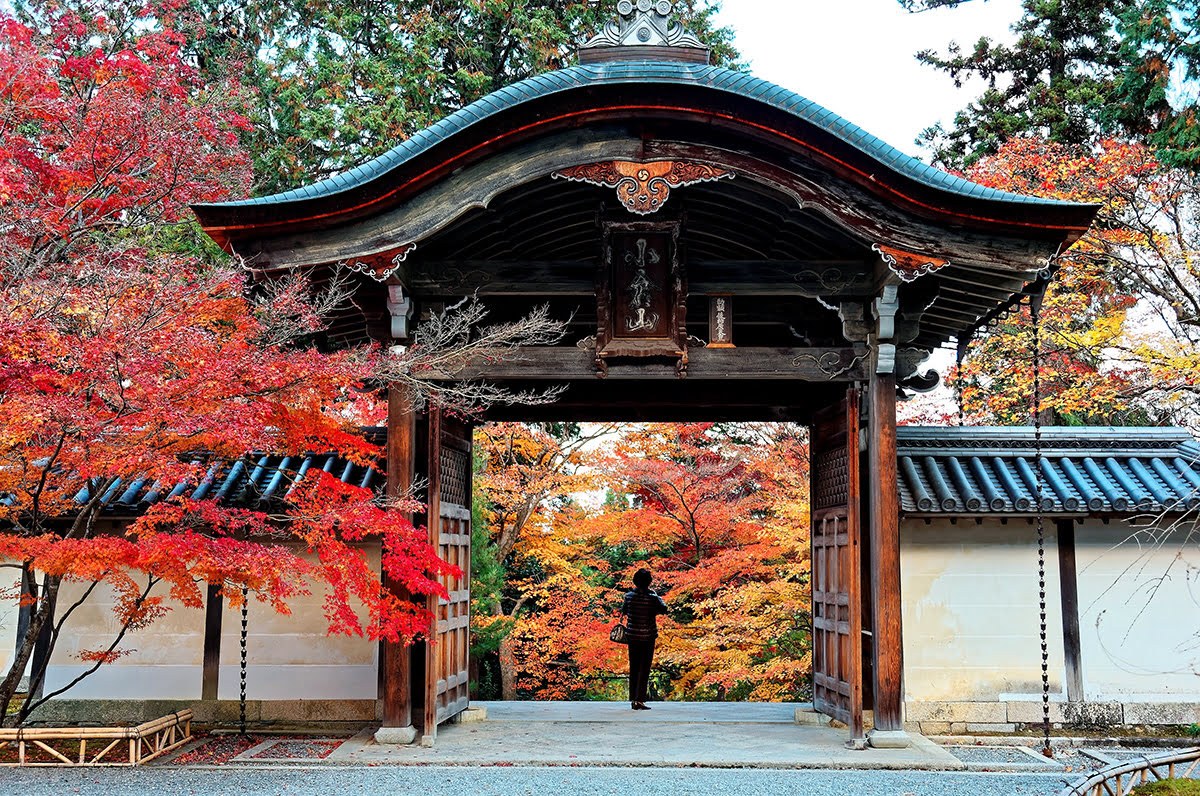 嵐山-京都-日本-二尊院