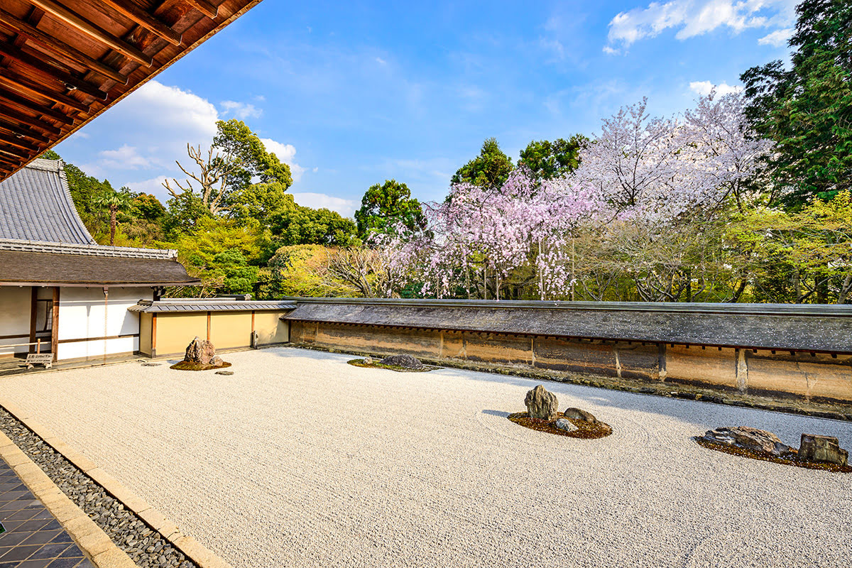 Ryoanji Temple-Kyoto-Japan-Ryoanji Temple-rock garden-spring cherry blossoms