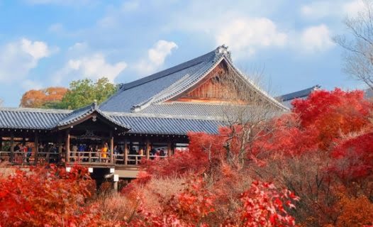 Complete Guide to Tofukuji Temple + Hotels & Nearby Kyoto Attractions