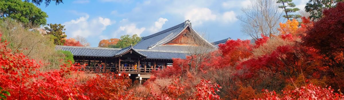 Tofukuji temple-Featured photo (1200x350) Beautiful view of Tofukuji temple