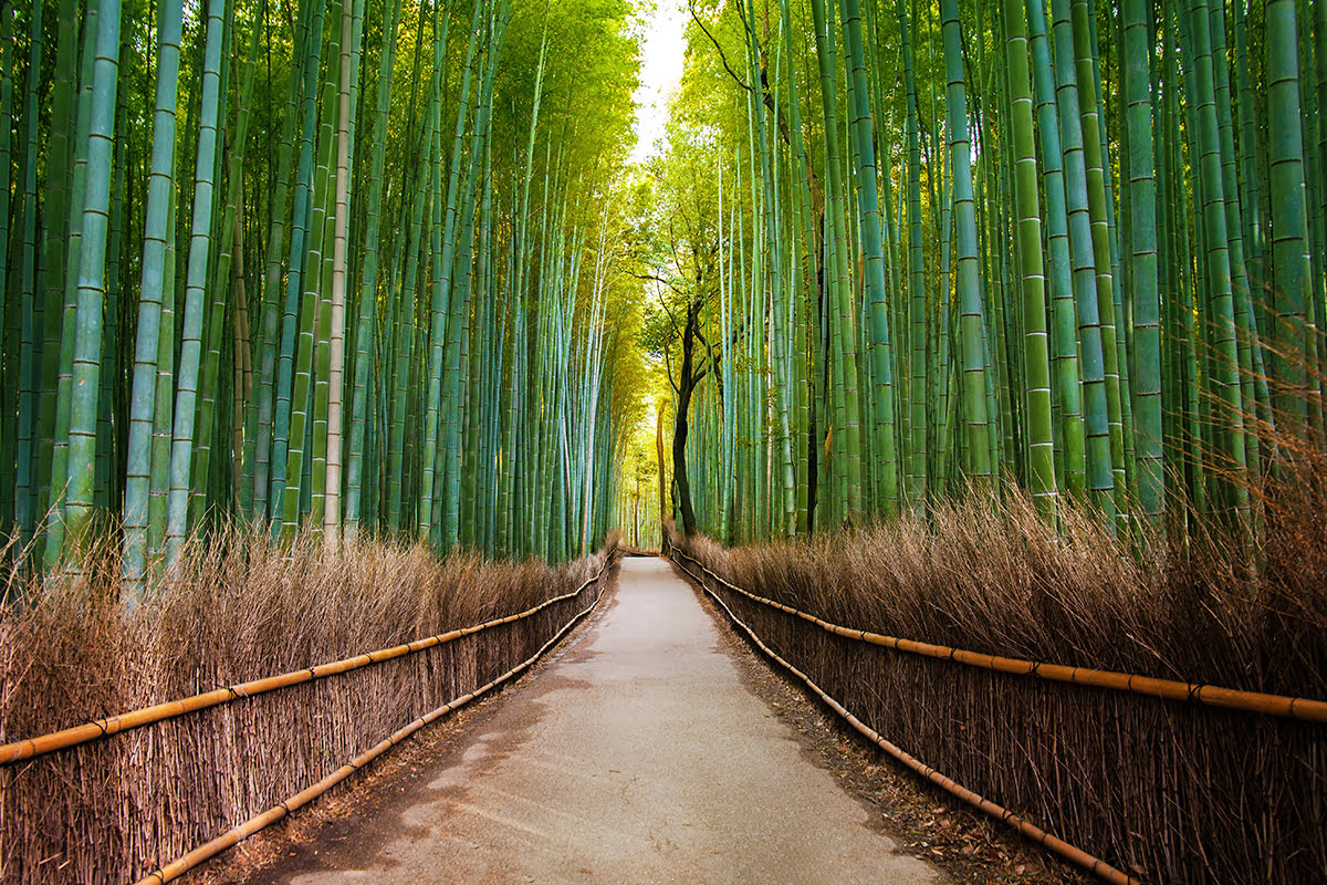 Where to stay in Kyoto-Arashiyama-Bamboo forest