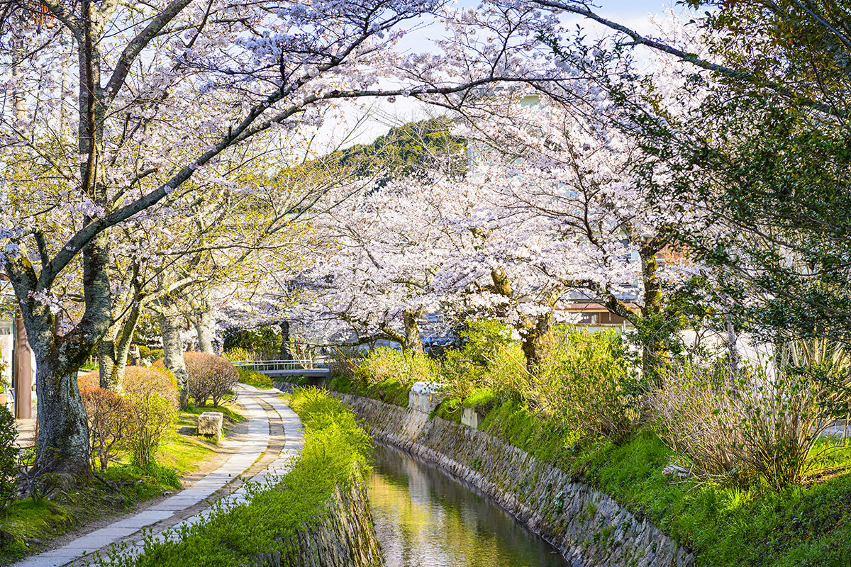 Where to stay in Kyoto-Philosopher's walk