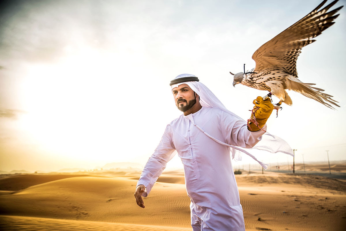 Desert Safari Dubai-camel rides-Bedouin camping-UAE-Bedouin camp-falconry