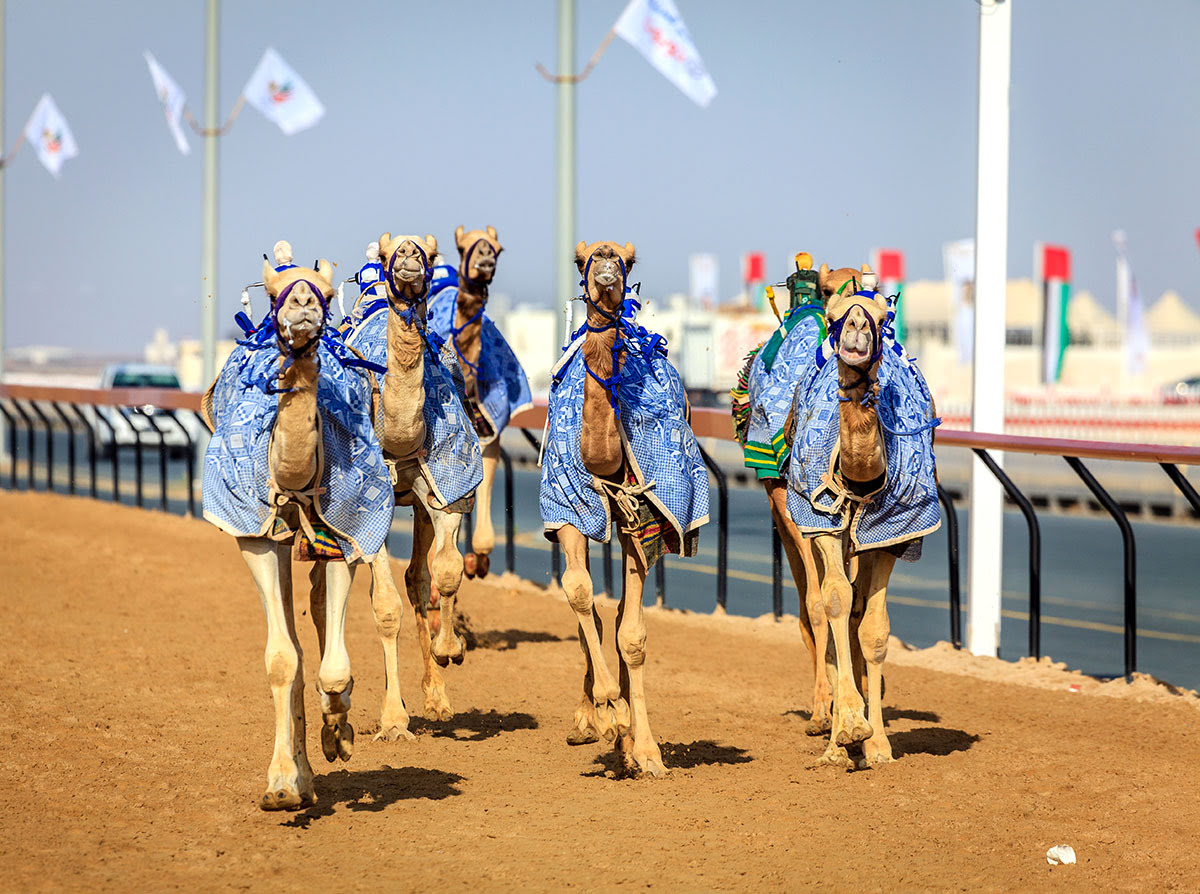 Best time to visit Dubai-United Arab Emirates-events-Al Marmoom Heritage Festival-Dubai Polo Cup