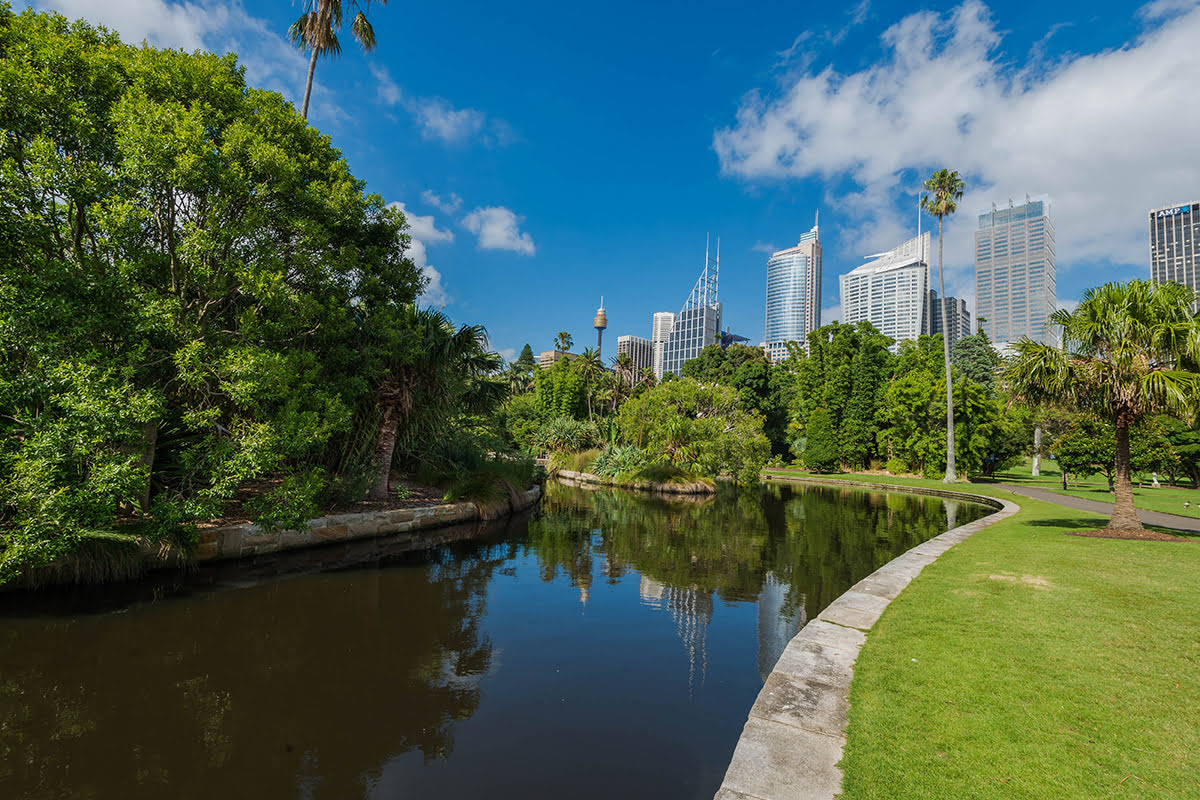 Circular Quay-Royal Botanic Gardens