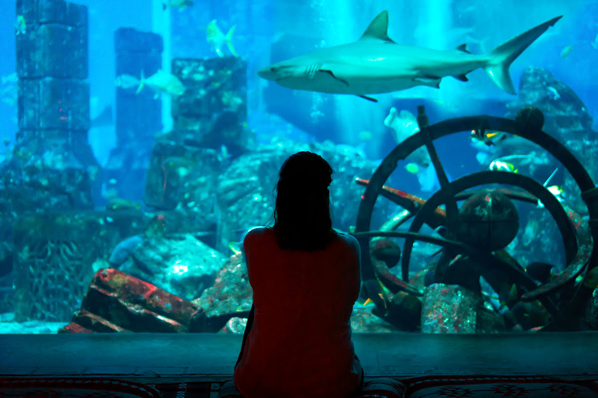 Dubai attractions-United Arab Emirates-Dubai Aquarium and Underwater Zoo