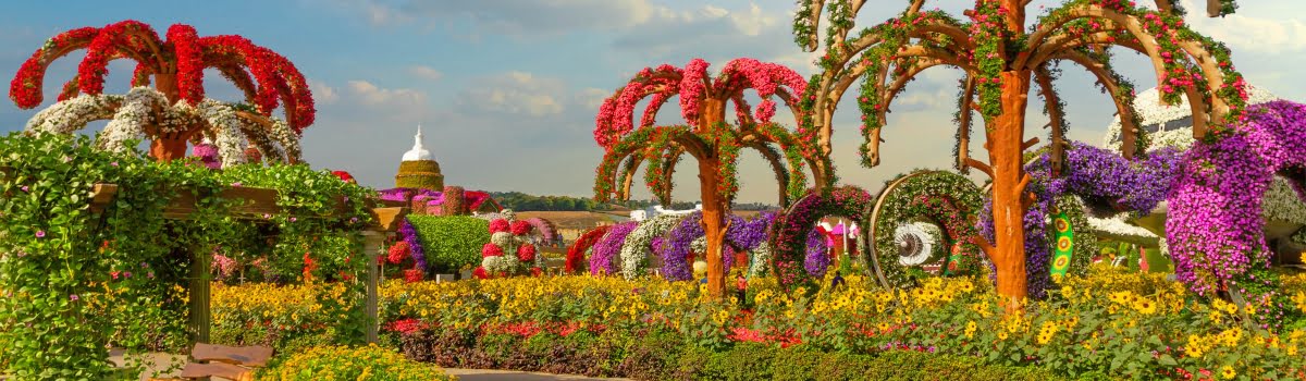 حديقة دبي المعجزة | تذاكر وأماكن الجذب لأكبر حديقة زهور في العالم