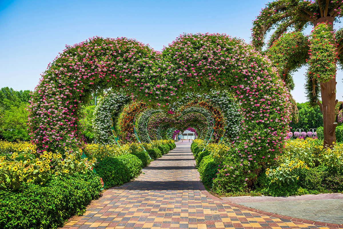 حديقة دبي المعجزة - قلوب من الأزهار