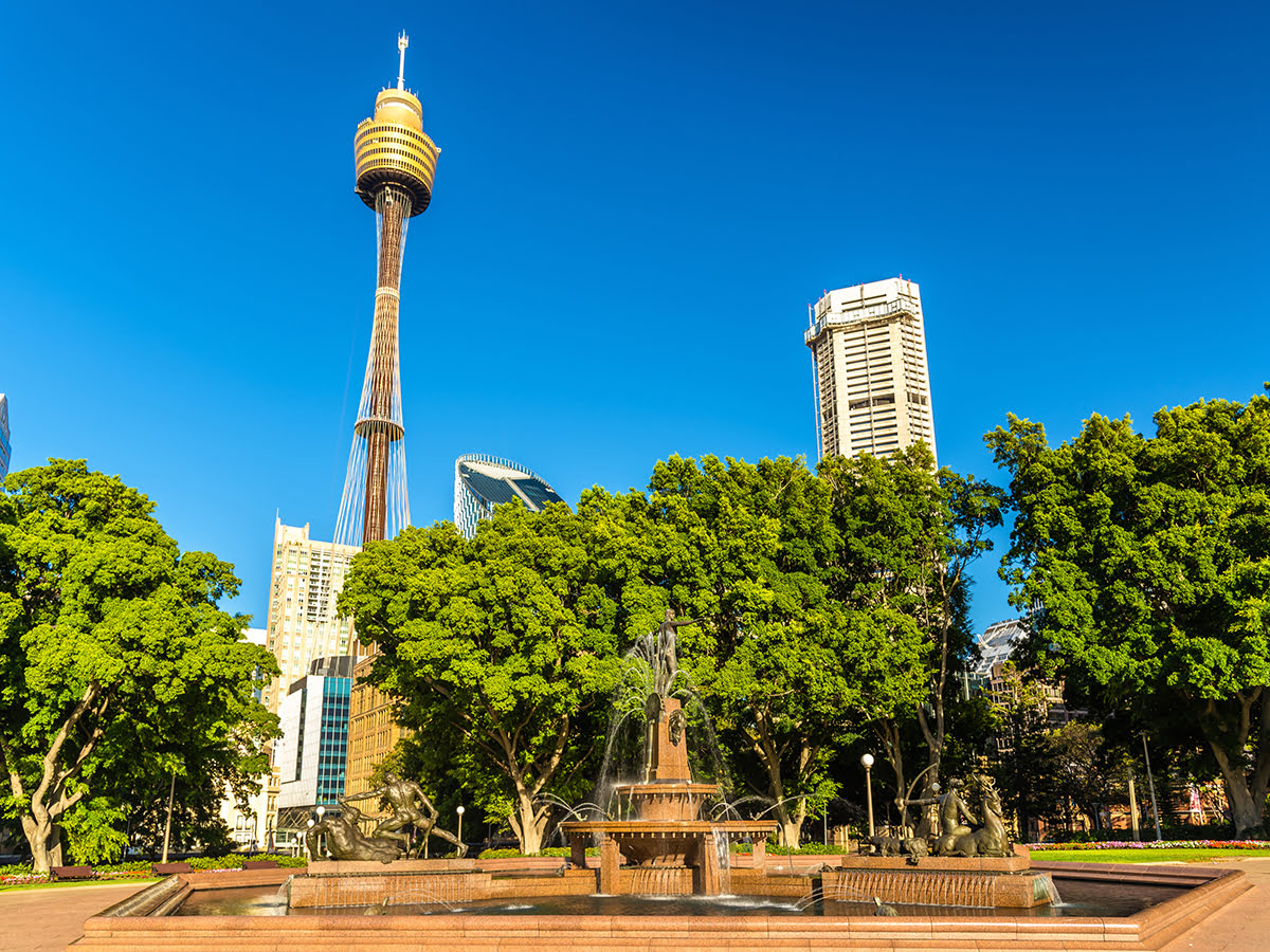 Sydney Tower-View of Sydney Tower from the Park