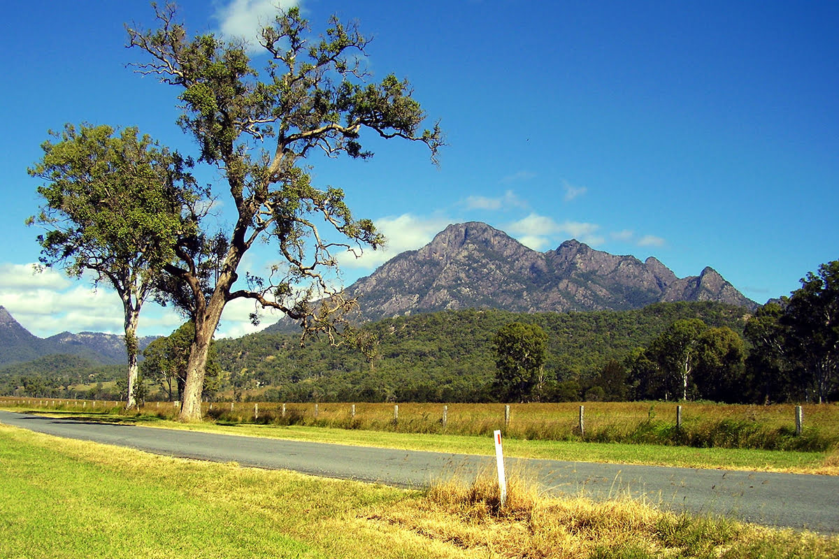 Taman nasional Sydney-mendaki-berjalan-Hutan Tropis Gondwana