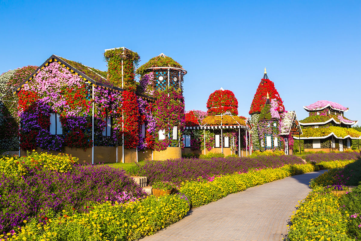 What to do in Dubai-Dubai Miracle Garden