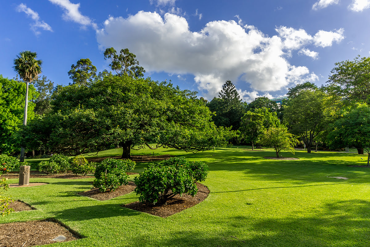 Brisbane City Botanic Gardens-Green lawn